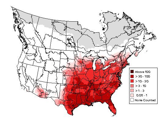 Northern Cardinal population density map