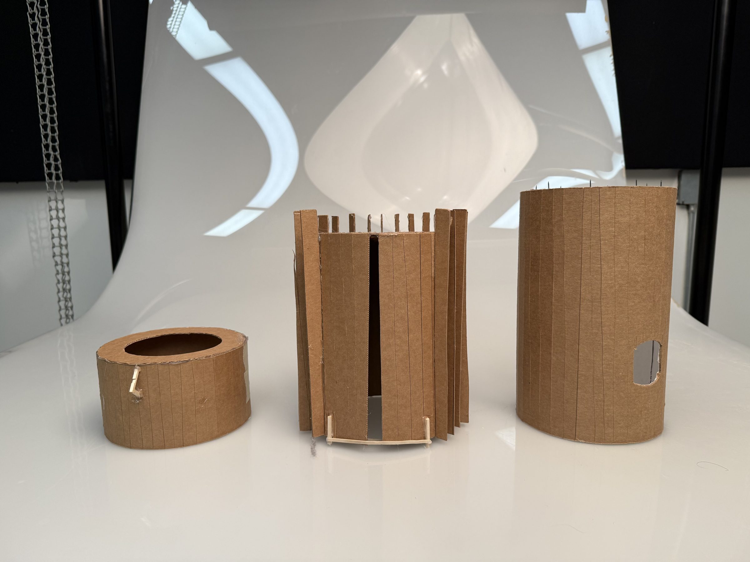 Cardboard form study
